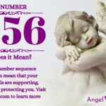 numerology number 1056
