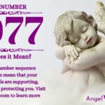 numerology number 1077