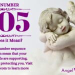 numerology number 1105
