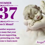 numerology number 1137