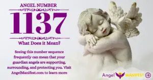 numerology number 1137