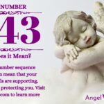 numerology number 1143