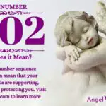 numerology number 1202