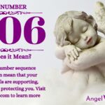 numerology number 1206