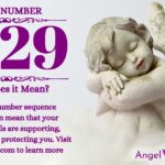 numerology number 1229