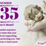 numerology number 1235
