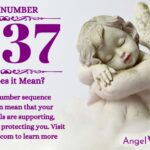 numerology number 1237