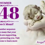 numerology number 1248