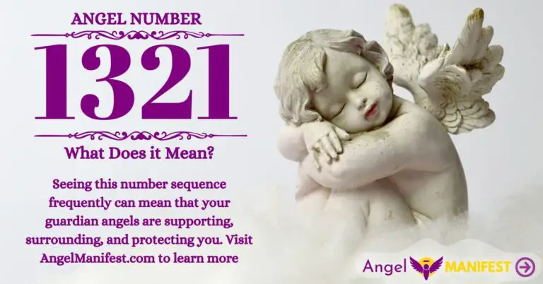 numerology number 1321