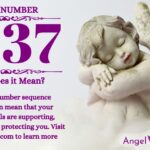 numerology number 1337