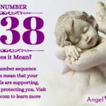 numerology number 1338