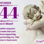 numerology number 1344