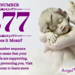 numerology number 1377
