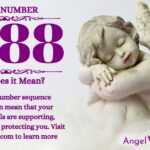 numerology number 1388