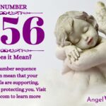 numerology number 1456