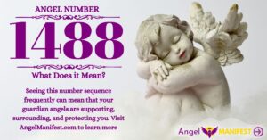 numerology number 1488