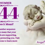 numerology number 1544