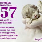 numerology number 1557