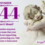 numerology number 1644