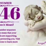 numerology number 1646