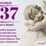 numerology number 1737