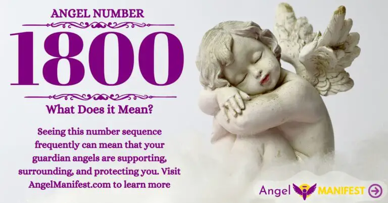 numerology number 1800