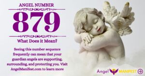 numerology number 879