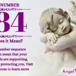 numerology number 884