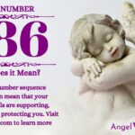 numerology number 886