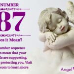 numerology number 887