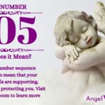 numerology number 905