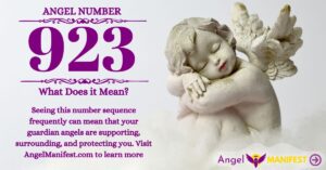 numerology number 923