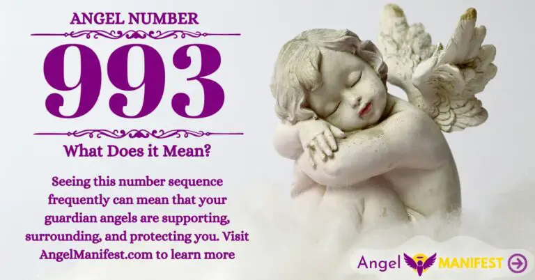 numerology number 993