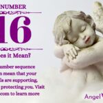 numerology number 716