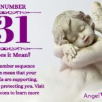numerology number 731