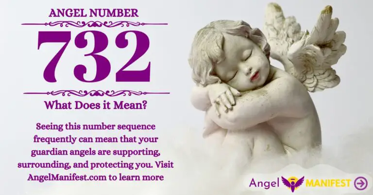 numerology number 732