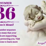 numerology number 736