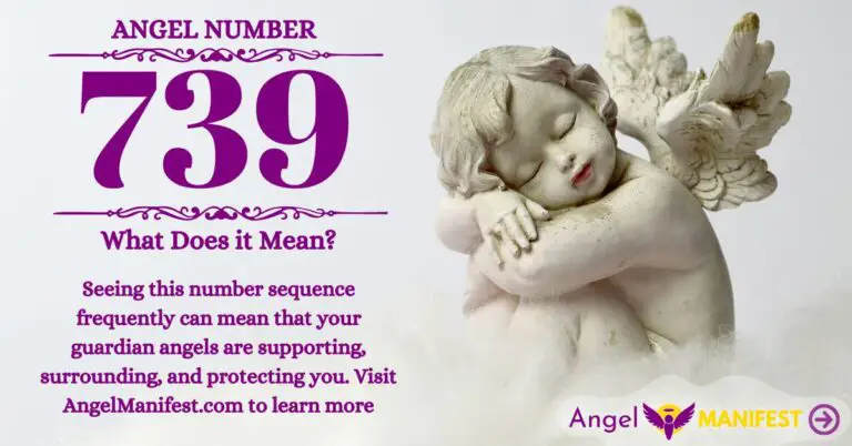 numerology number 739