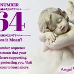 numerology number 764