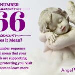 numerology number 766