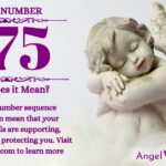 numerology number 775