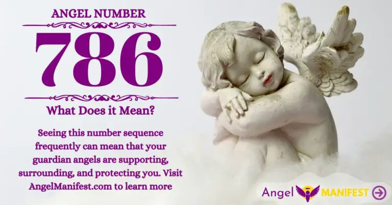 numerology number 786