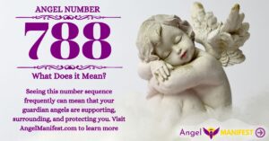 numerology number 788