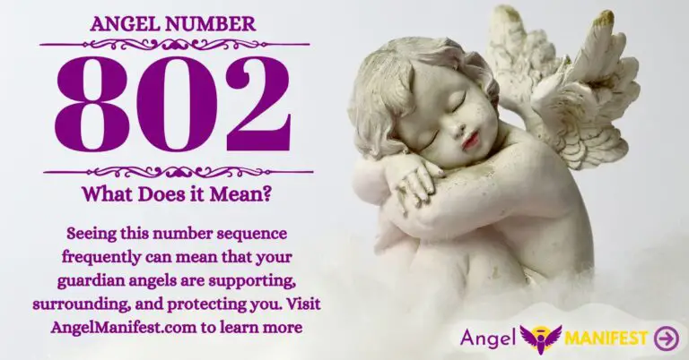 numerology number 802