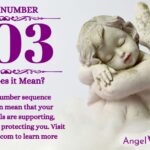 numerology number 803