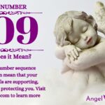 numerology number 809