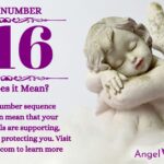 numerology number 816