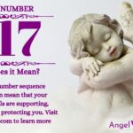 numerology number 817