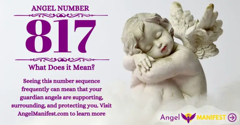numerology number 817