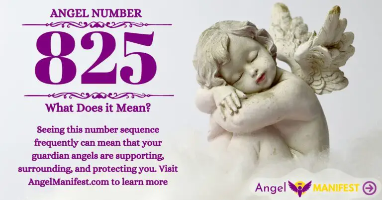 numerology number 825